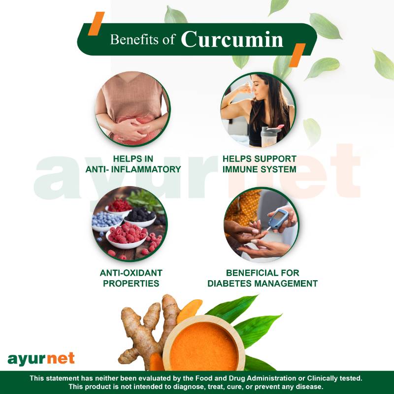 CURCUMIN CAPSULE