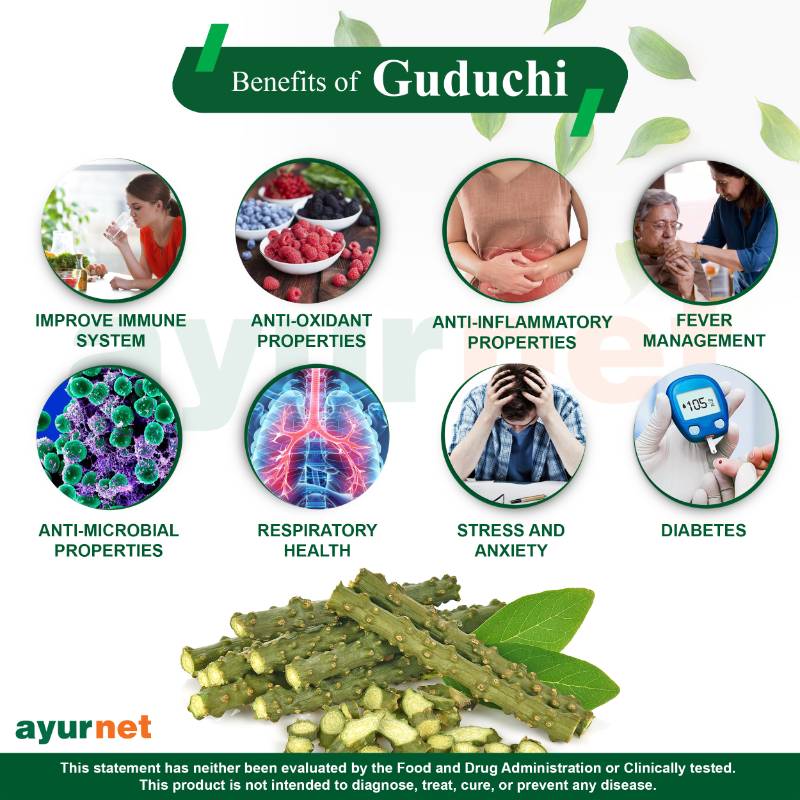 GUDUCHI ( GUDMAR ) CAPSULE