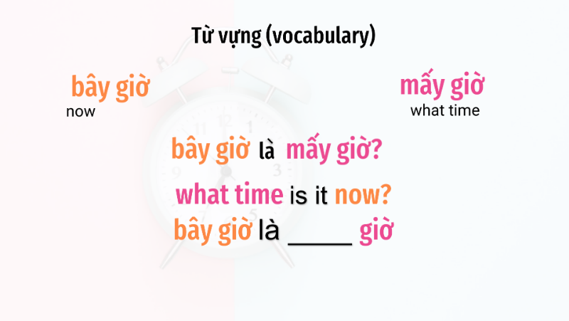 Bài 5: Hỏi giờ (Telling time)