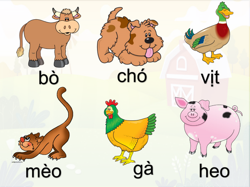 Bài 8: Các con vật ở nông trại (Farm animals)