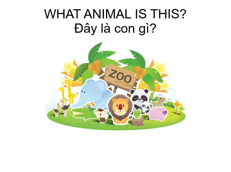 Trò chơi: Đây là con gì? (Game học Tiếng Việt)