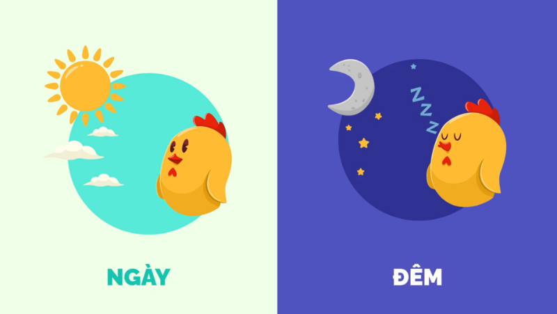 Bài 13: Các cặp từ đối lập (Antonyms)