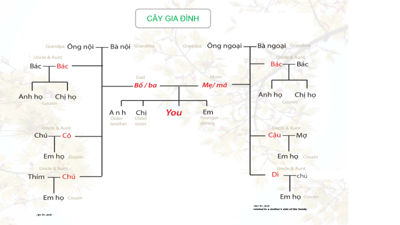 Bài 19: Vừa là họ hàng, vừa là hàng xóm (Family Relations)