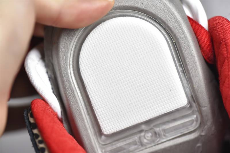 Nike SB Dunk Low
What The Paul
