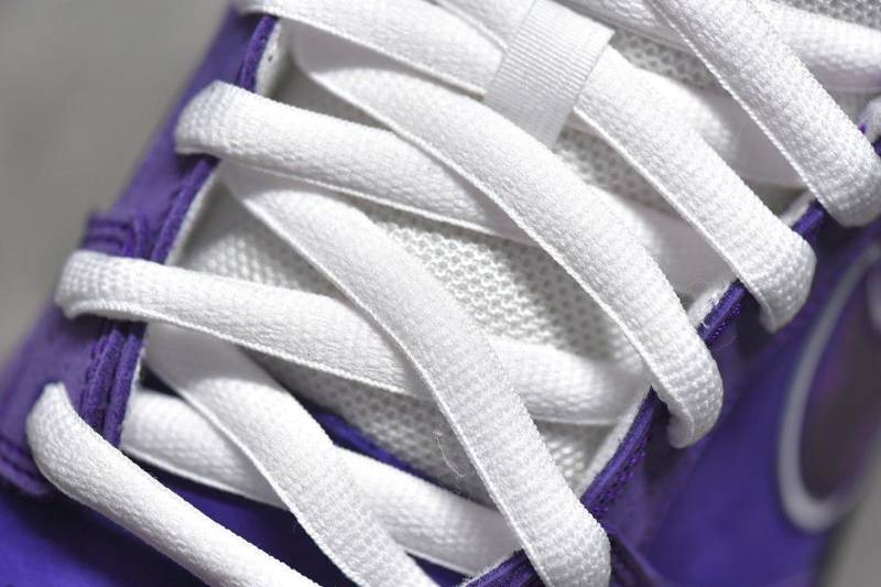Nike SB Dunk Low
Concepts Purple Lobster