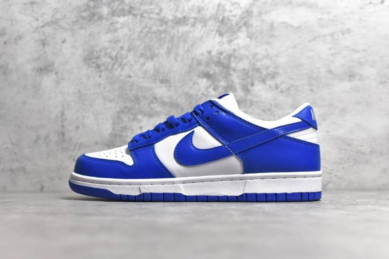 Nike Dunk Low SP Basico
(+cores)
