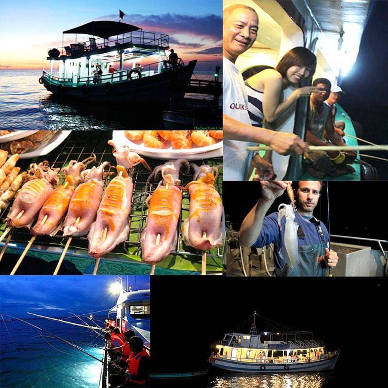 Tour Câu Mực Đêm