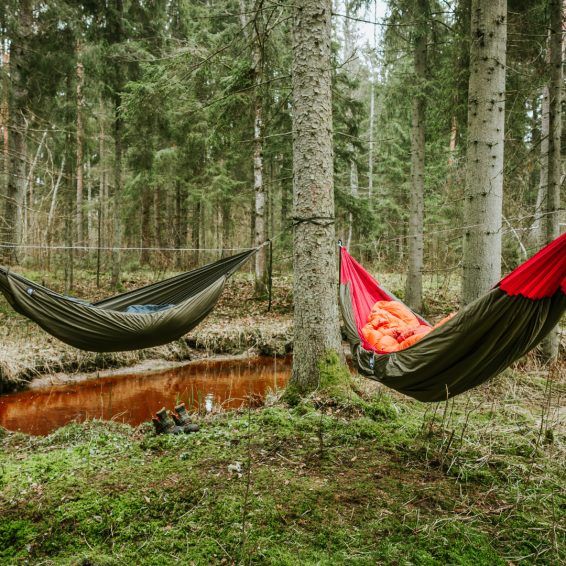Hammock