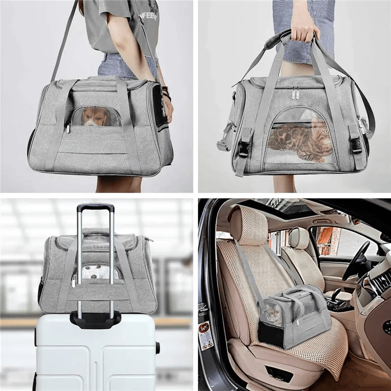 Kennel para viaje