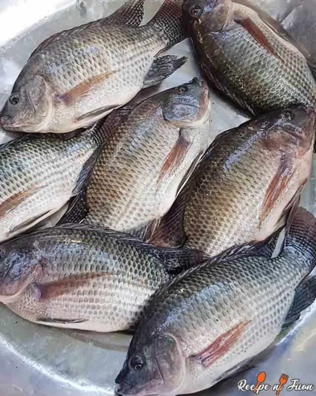Ikan emas