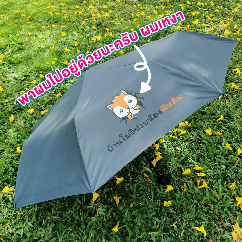 ร่มโมจิ