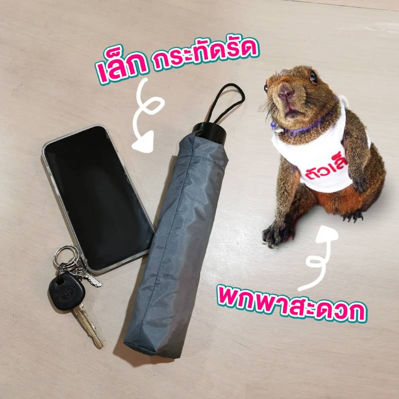 ร่มโมจิ