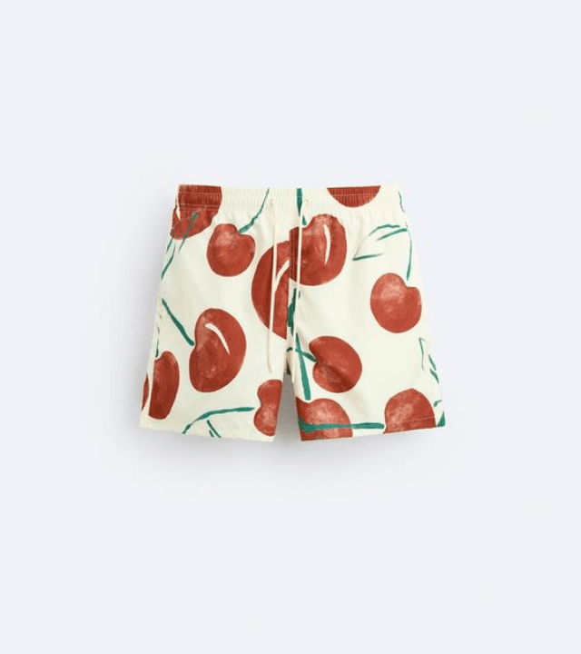 Swimwear Man Zara 0495/415