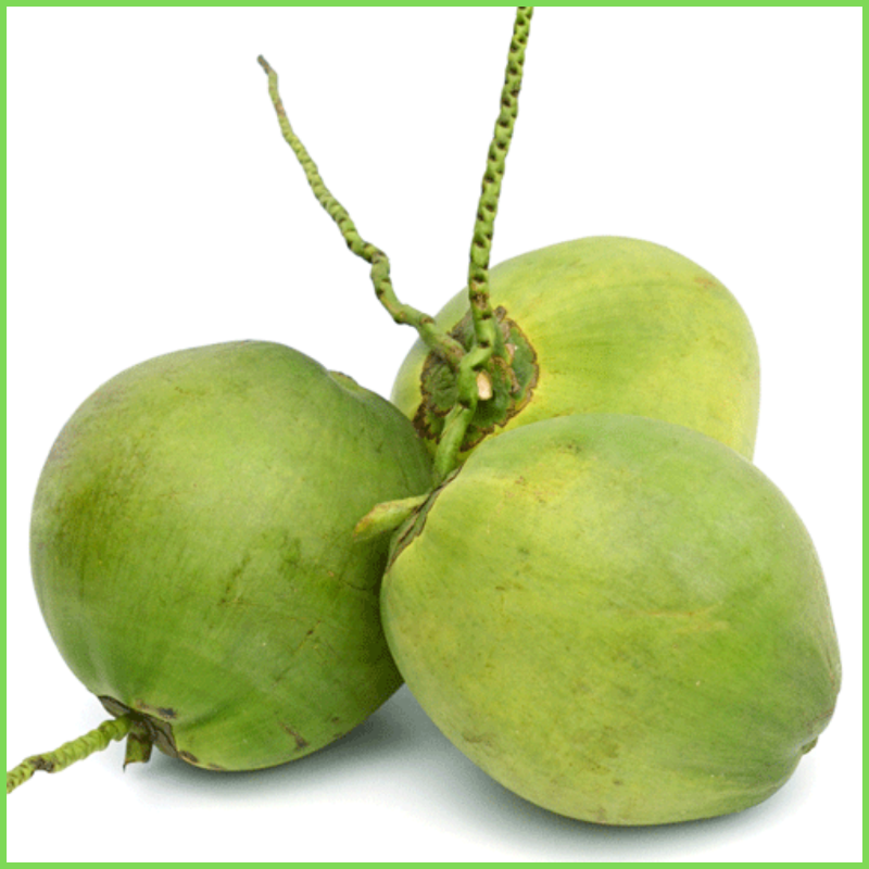 Dừa tươi