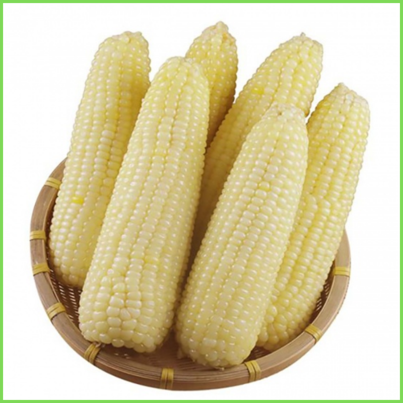 Ngô nếp luộc sẵn