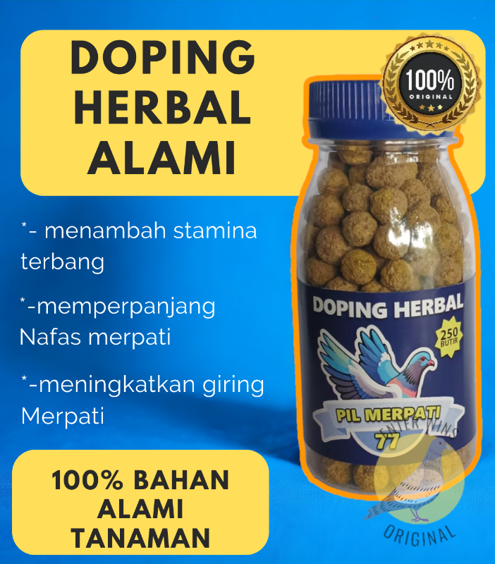 PIL MERPATI 77