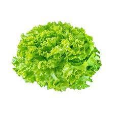 Lechuga Italiana