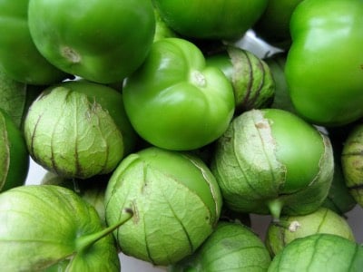 Tomate Verde