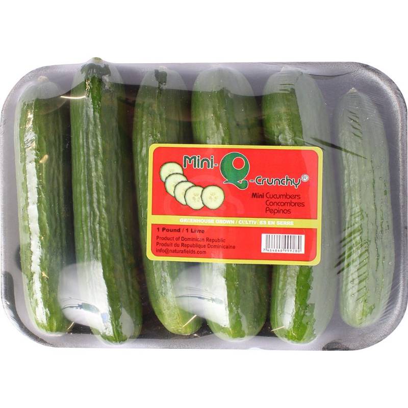 Cucumbers Persian 1LB