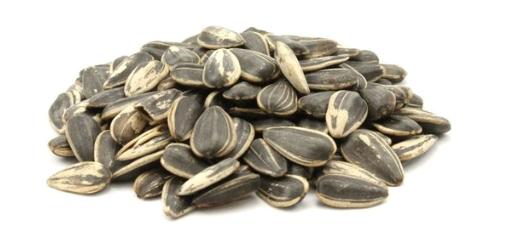 SUNFLOWER SEEDS PITZUCHIM FRESH