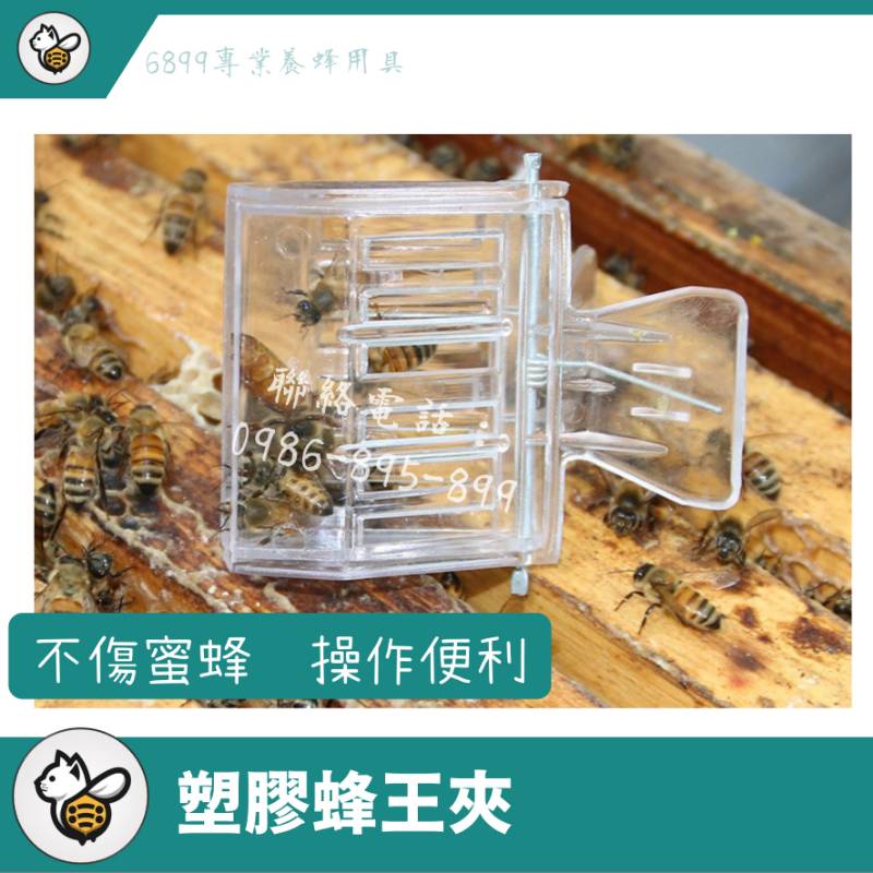 塑膠蜂王夾