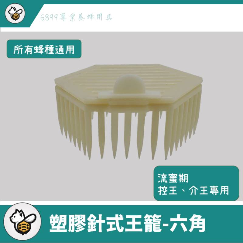 塑膠針式王籠