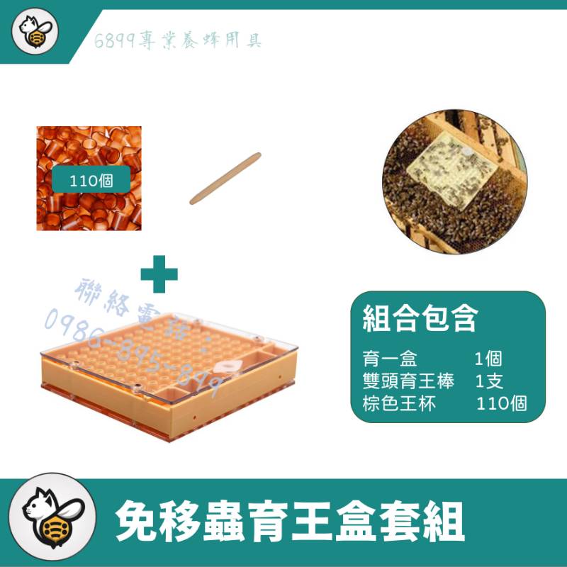 免移蟲育王盒套組
