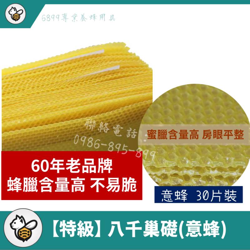 【特級】八千巢礎-意蜂(30片)
