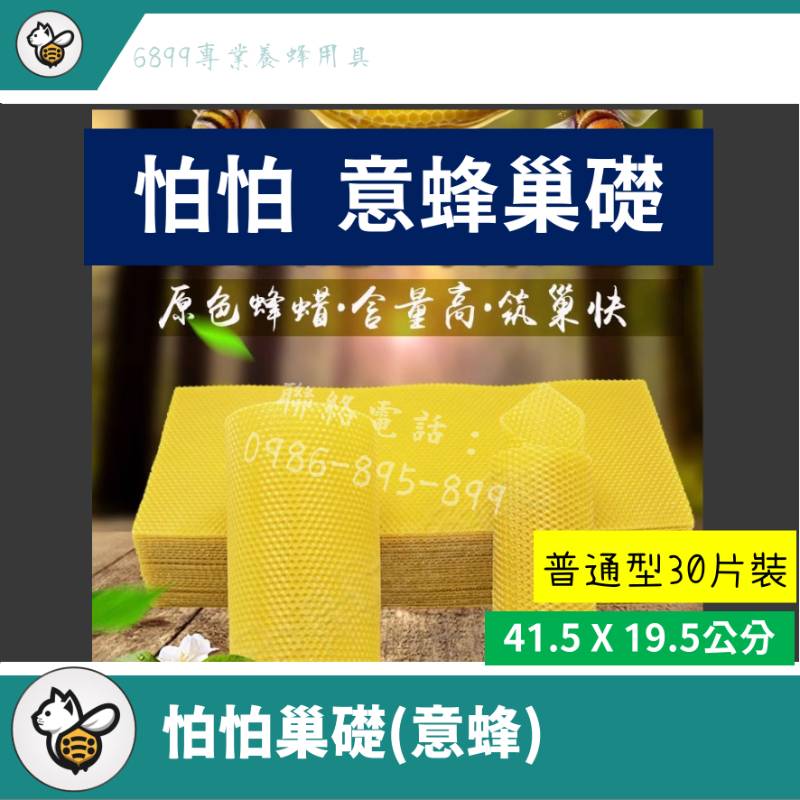 怕怕巢礎-意蜂(30片)