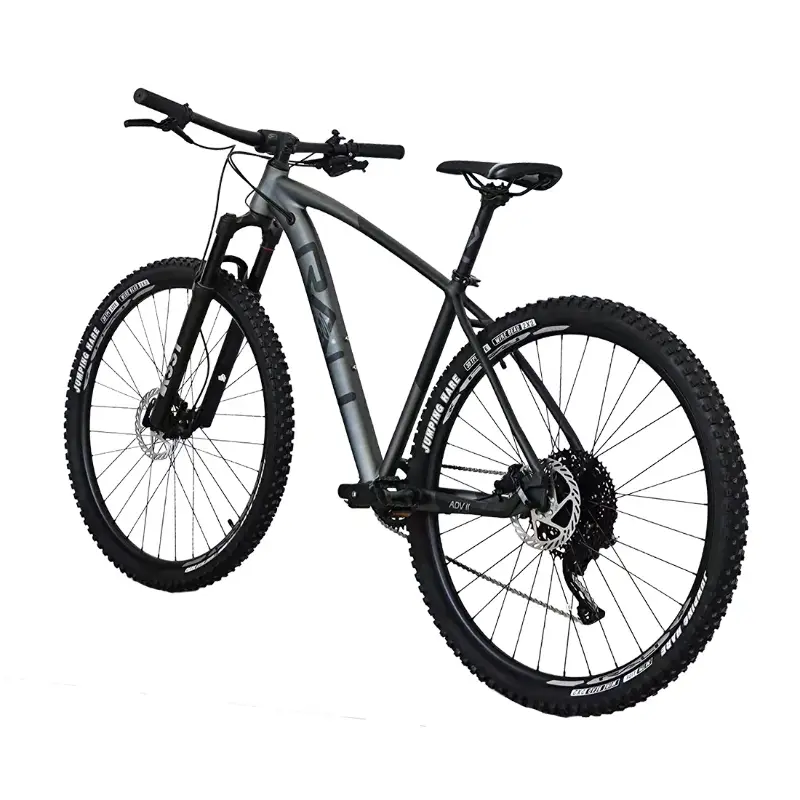 Bicicleta 29 Rali ADVI Aluminio 1x12 Negro/Gris Claro