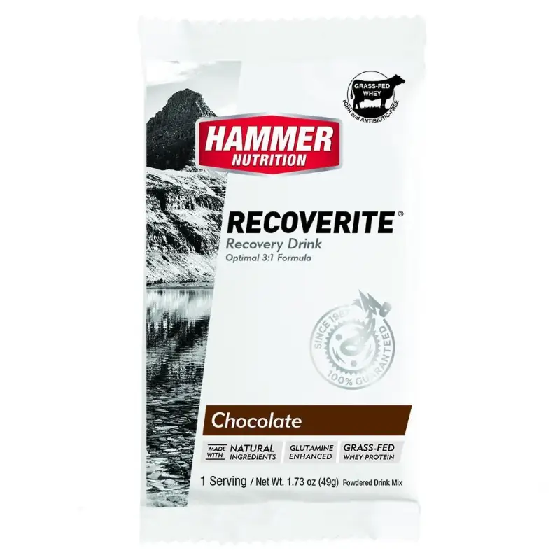 Hammer Recoverite Chocolate 1 Servicio