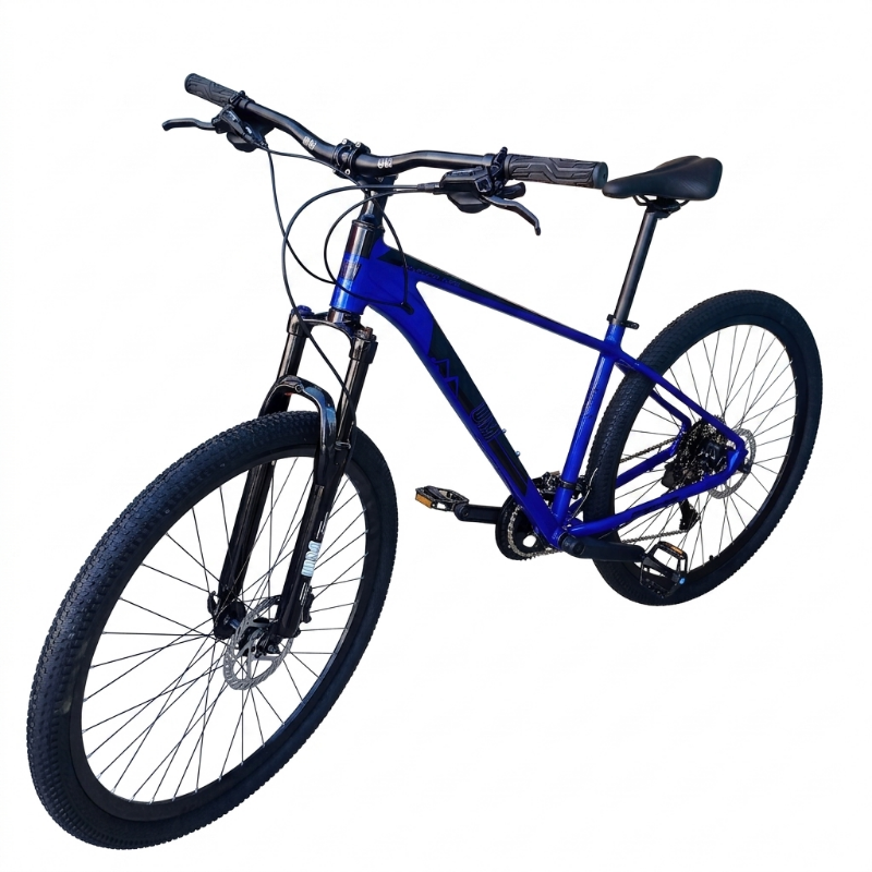 Bicicleta 29 UM Raptor MTB Azul