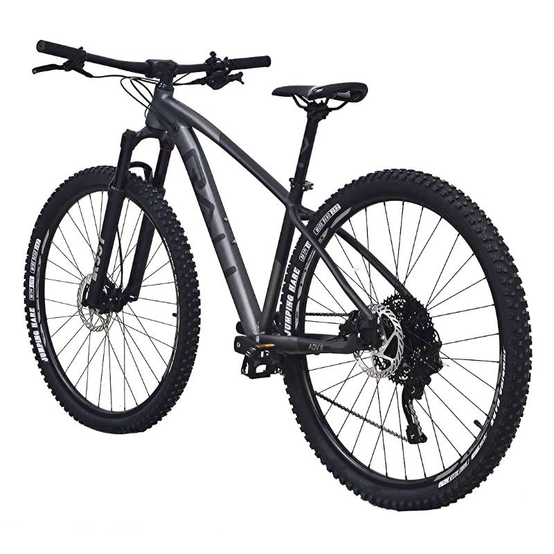 Bicicleta 29 Rali ADVI Aluminio 1x12 Negro/Gris Oscuro