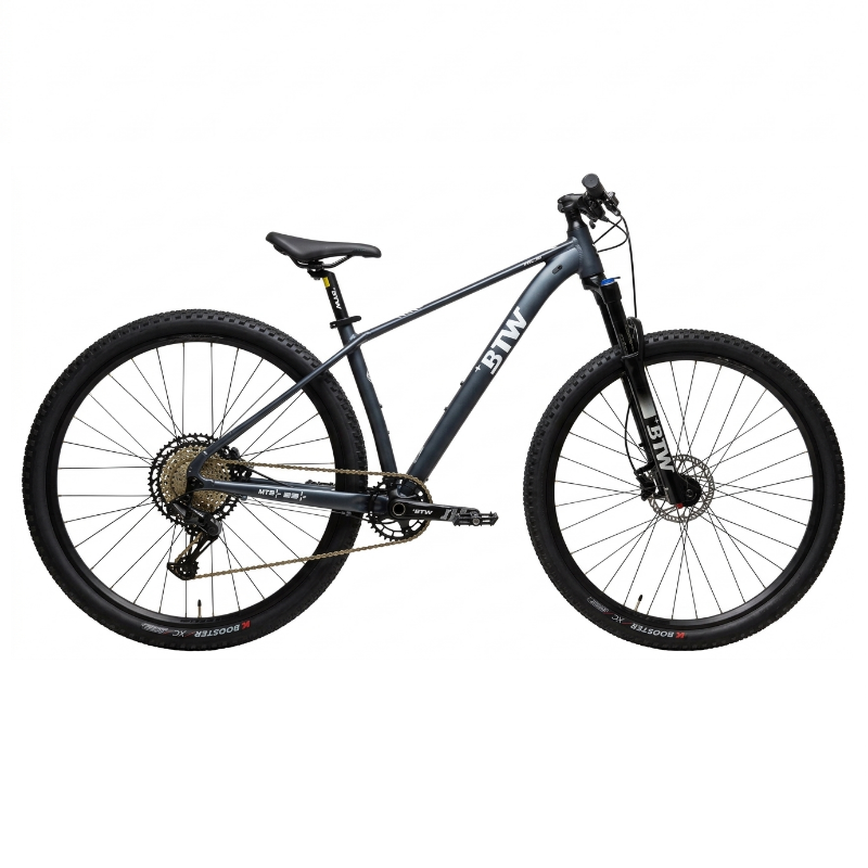Bicicleta 29 BTW Ride 1x12 Gris