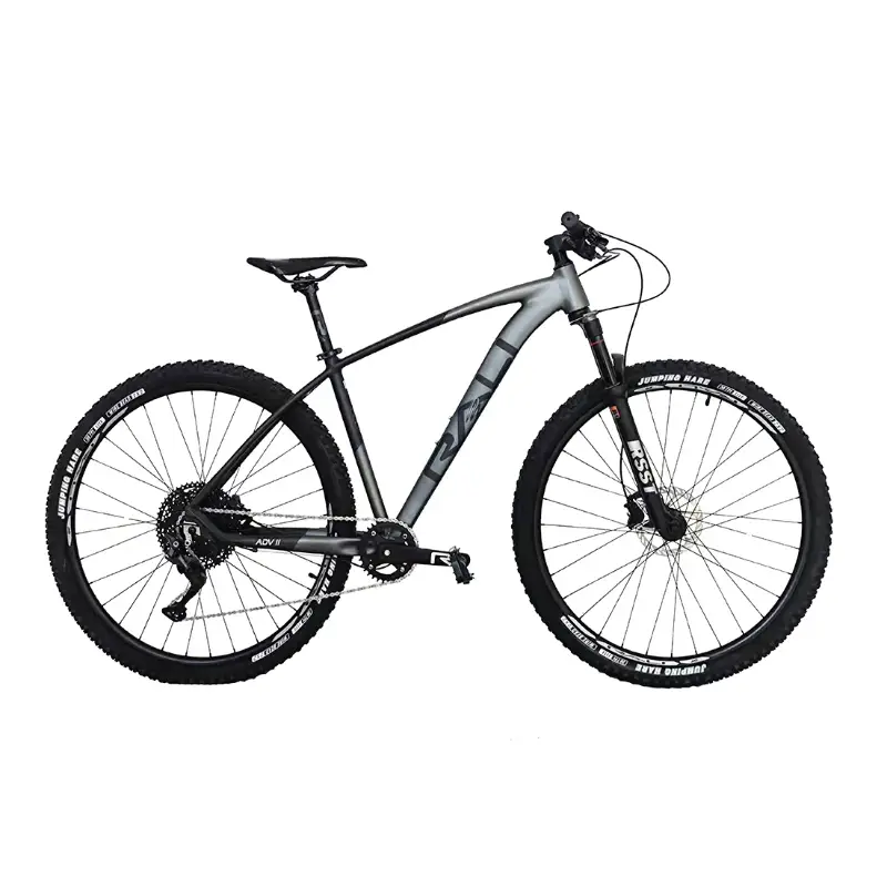 Bicicleta 29 Rali ADVI Aluminio 1x12 Negro/Gris Claro