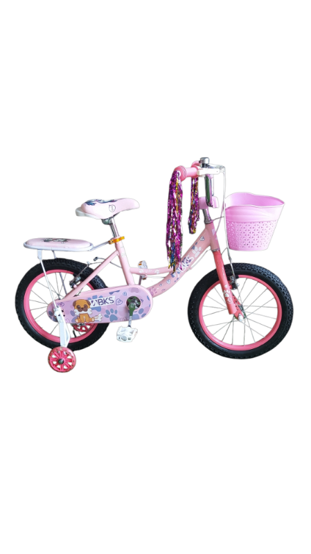 Bicicleta 16 Niña BKS Pets World