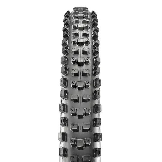 Caucho 29 x 2.40 Maxxis Dissector Exo/TR