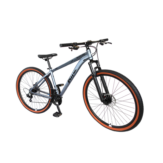 Bicicleta 29 KMZ 21 Velocidades Gris