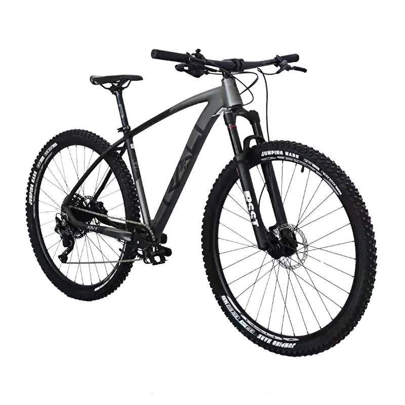 Bicicleta 29 Rali ADVI Aluminio 1x12 Negro/Gris Claro