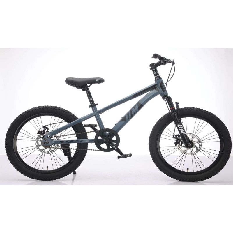 Bicicleta 20 UM Raptor MTB Kids Gris