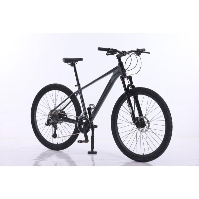 Bicicleta 29 UM Raptor MTB Gris