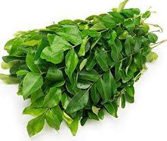 Curry Leaves