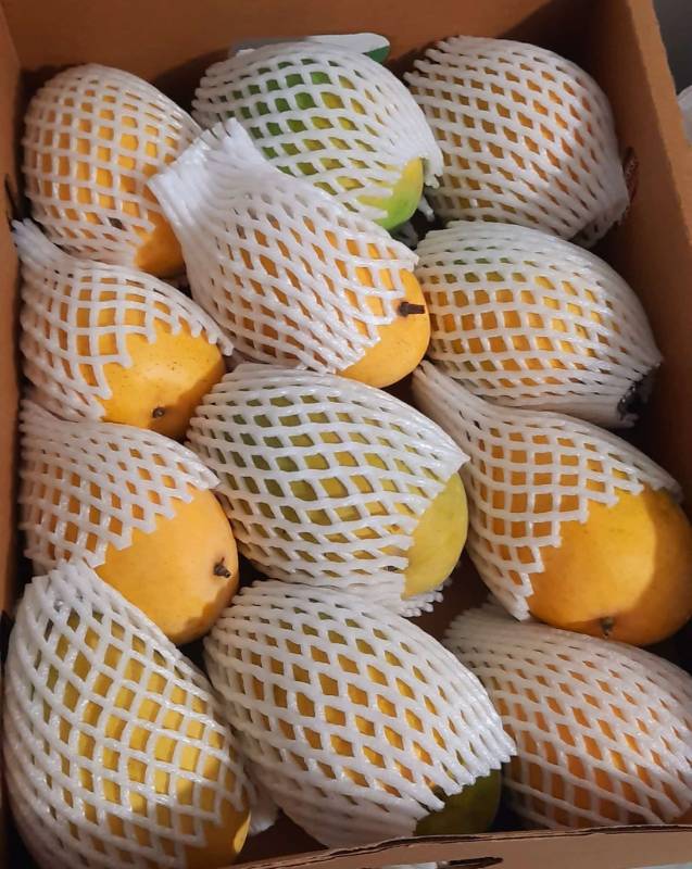 Badami Mangoes 3kg
