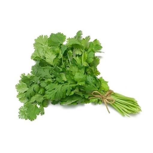 Coriander Leaves