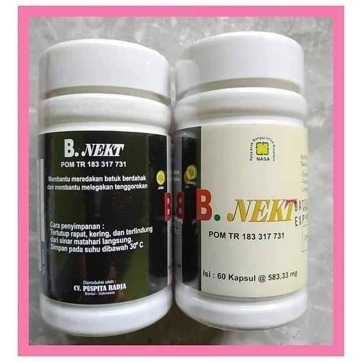 B.Nekt (Kesehatan paru-paru)