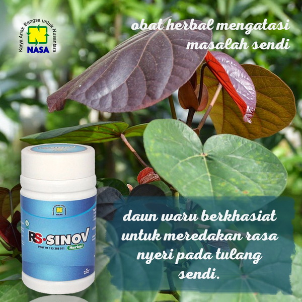 RS-Sinov