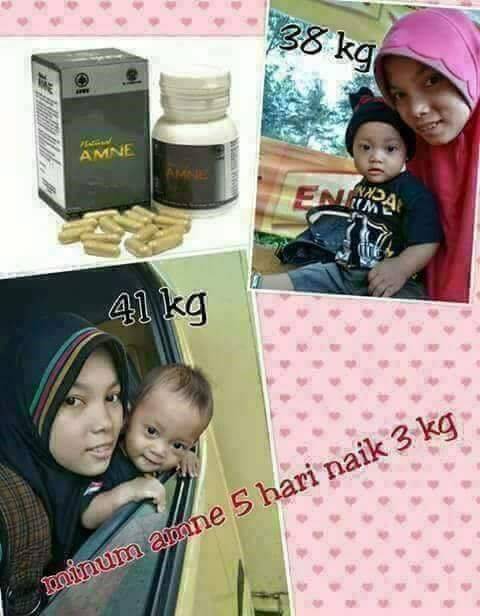 Amne (Asam Amino)