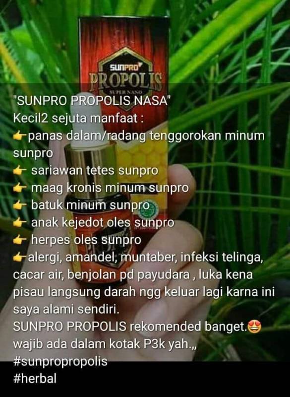 Sunpro Propolis