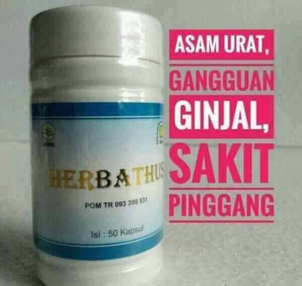 Herbathus
