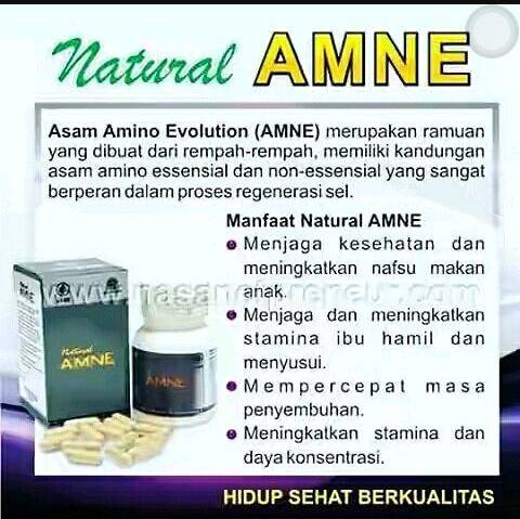 Amne (Asam Amino)